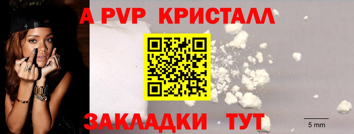 A PVP СК КРИС Саров