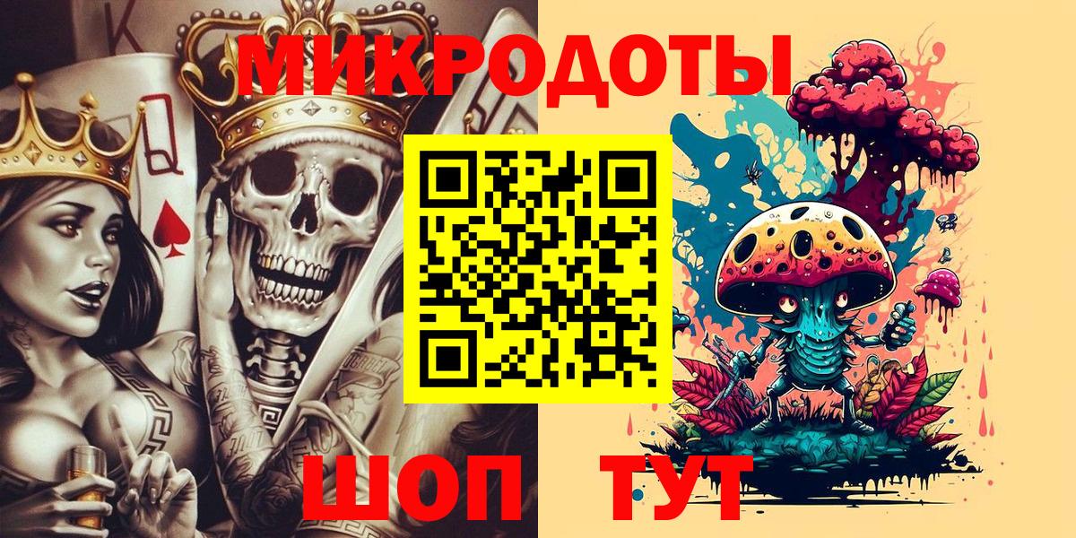 Псилоцибиновые грибы Psilocybe Саров